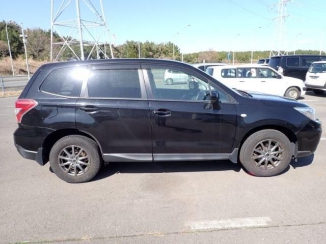 FORESTER