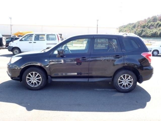 FORESTER