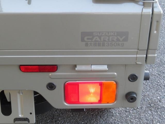 CARRY truck
