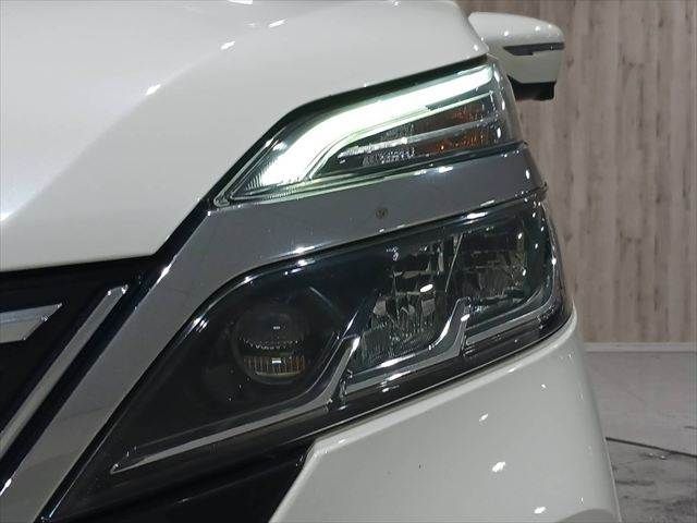 SERENA  S-HYBRID