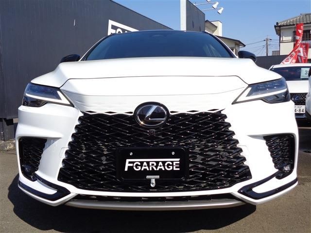 LEXUS RX500h