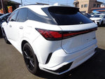 LEXUS RX500h