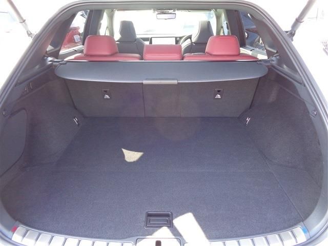LEXUS RX500h