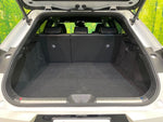 CROWN SPORT