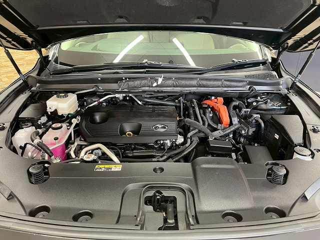 LEXUS RX450h+