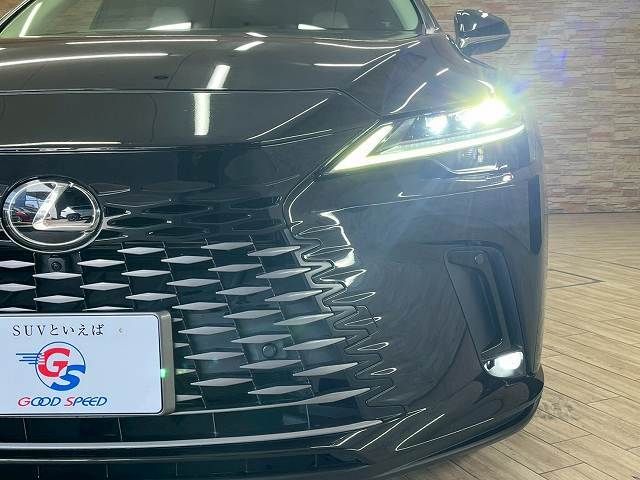 LEXUS RX450h+