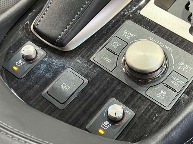 LEXUS LS600h