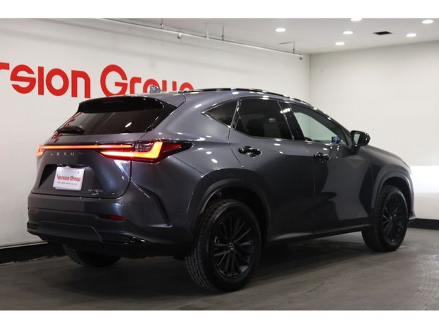 LEXUS NX350h AWD