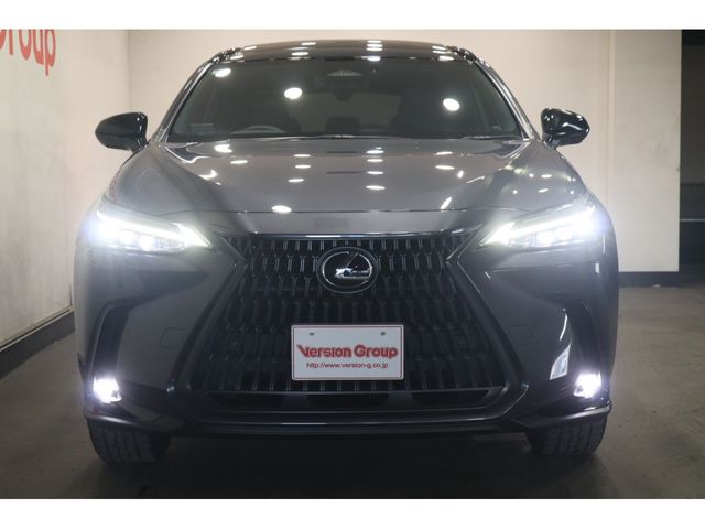 LEXUS NX350h AWD