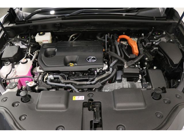 LEXUS NX350h AWD