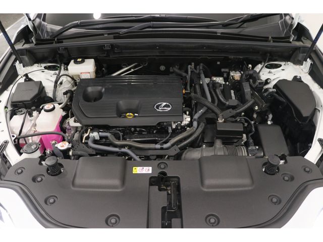 LEXUS NX350h