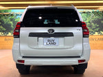 LANDCRUISER PRADO