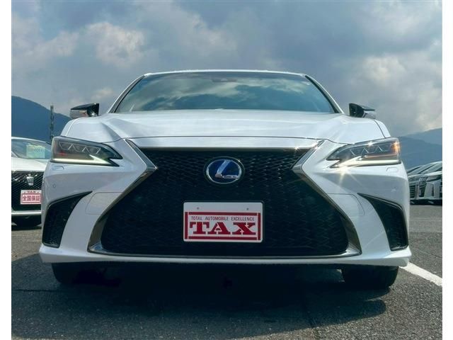 LEXUS ES300h