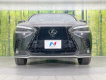 LEXUS NX350h AWD