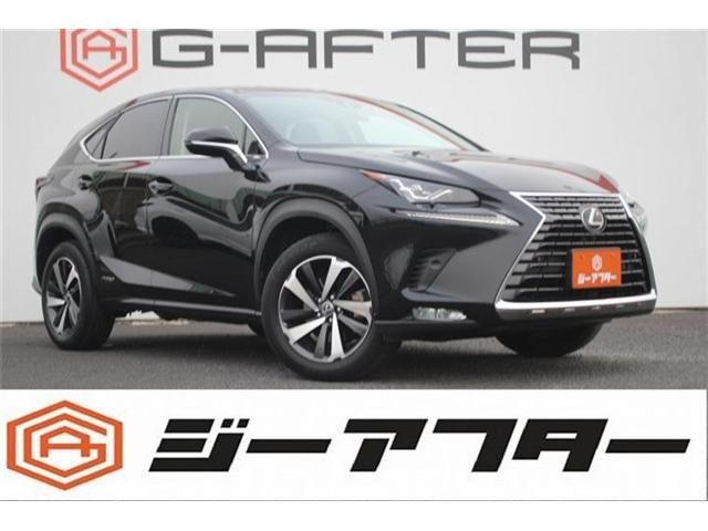 LEXUS NX300h AWD