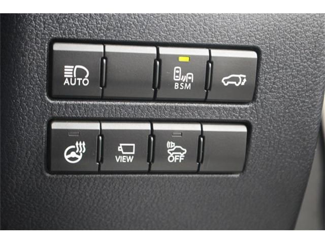 LEXUS NX300h AWD