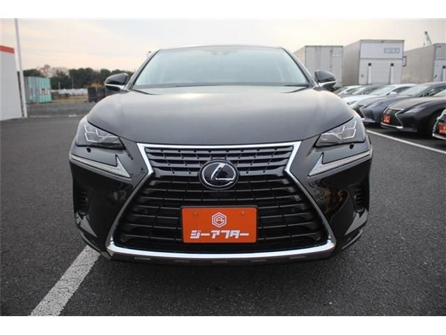 LEXUS NX300h AWD
