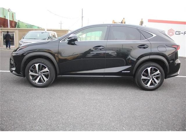 LEXUS NX300h AWD