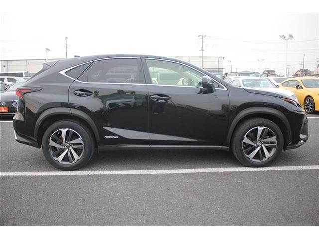 LEXUS NX300h AWD