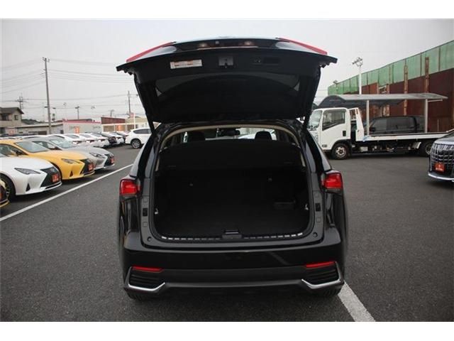 LEXUS NX300h AWD