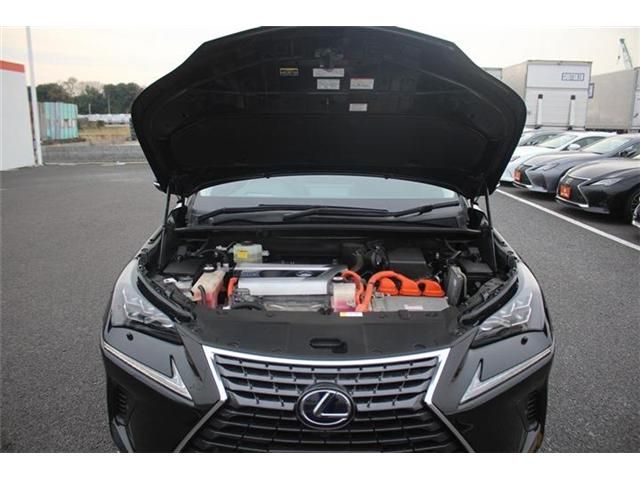 LEXUS NX300h AWD