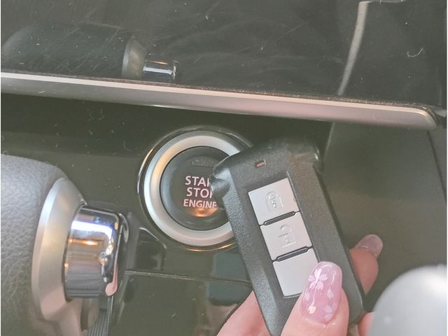 DAYZ ROOX 4WD