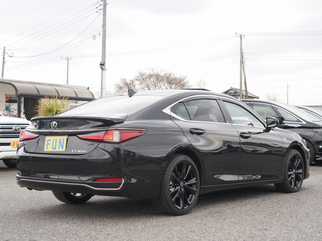 LEXUS ES300h