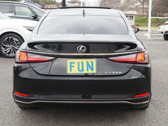 LEXUS ES300h