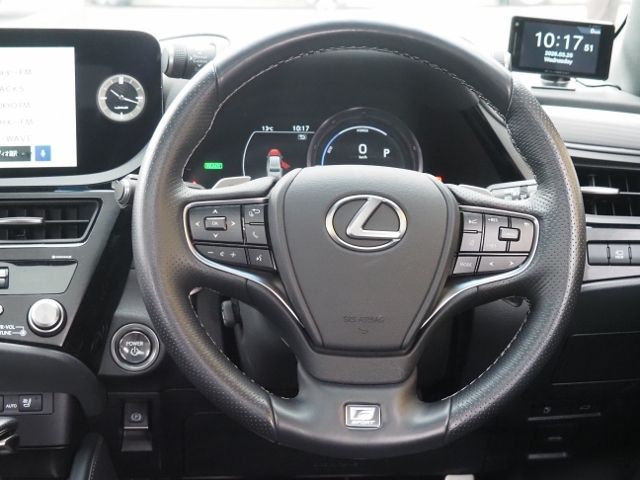 LEXUS ES300h
