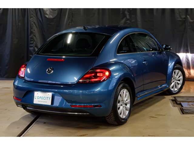 VOLKSWAGEN The BEETLE