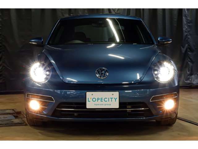 VOLKSWAGEN The BEETLE