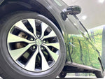 SERENA S-HYBRID
