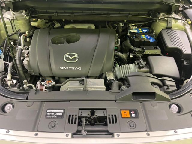 CX-8