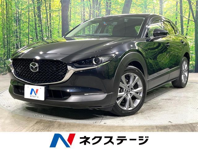 CX-30