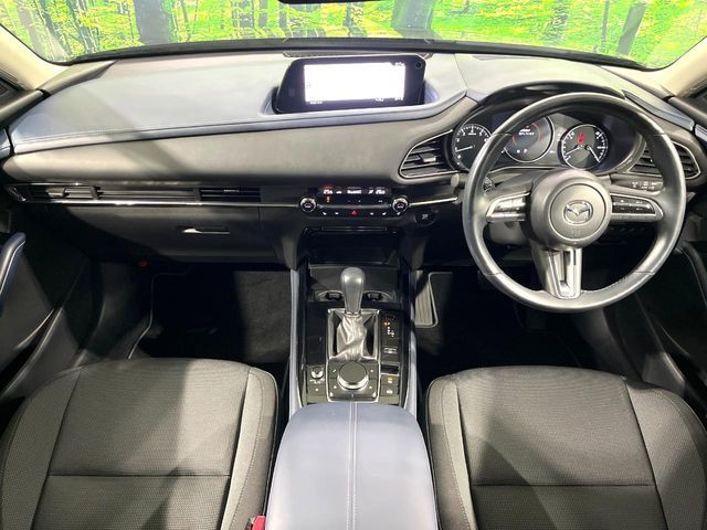 CX-30