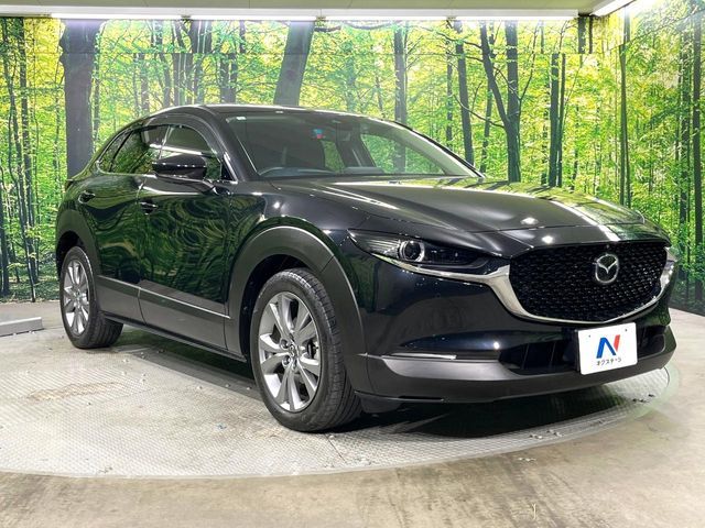 CX-30