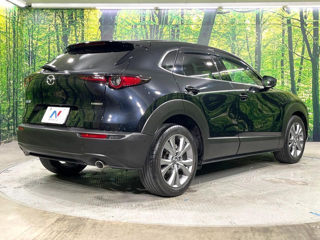 CX-30