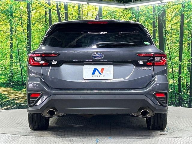 LEVORG
