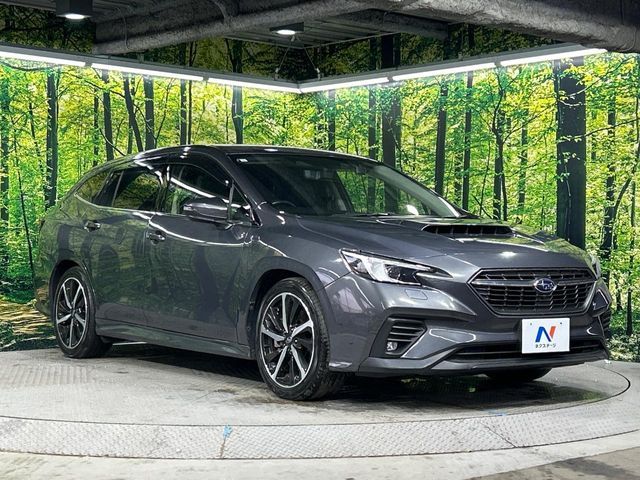 LEVORG
