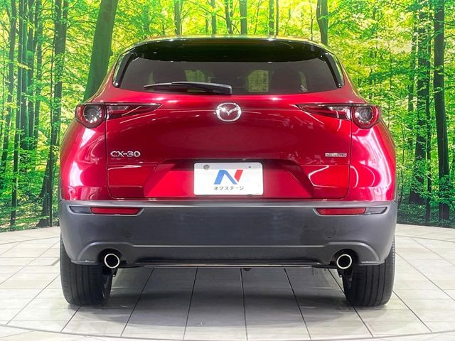 CX-30