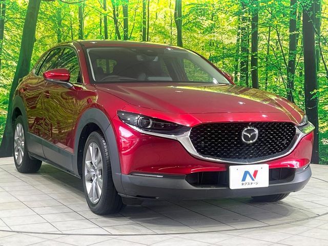 CX-30