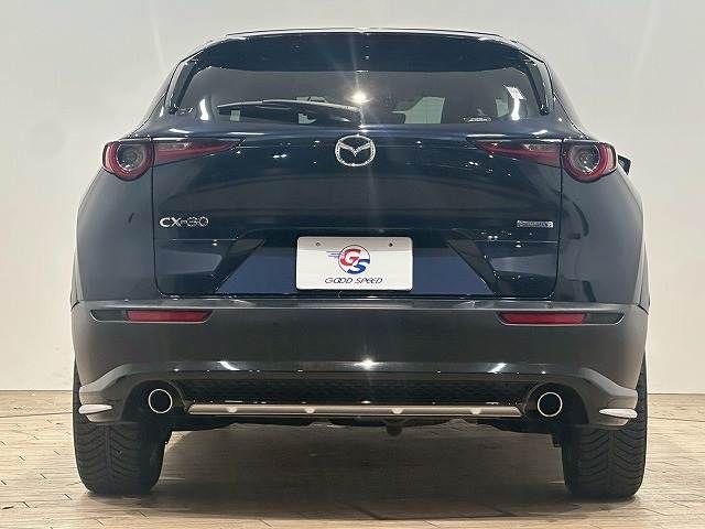 CX-30