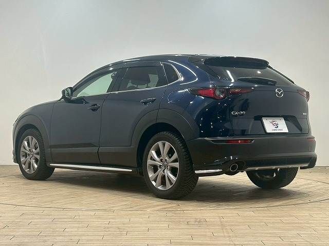 CX-30