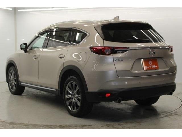 CX-8