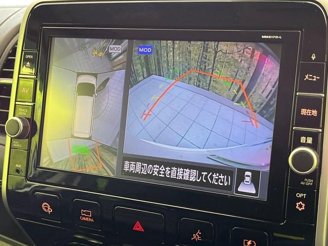 SERENA  WG