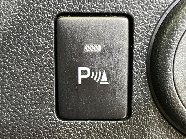 MIRA e:S