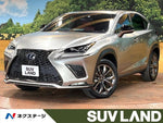 LEXUS NX300h