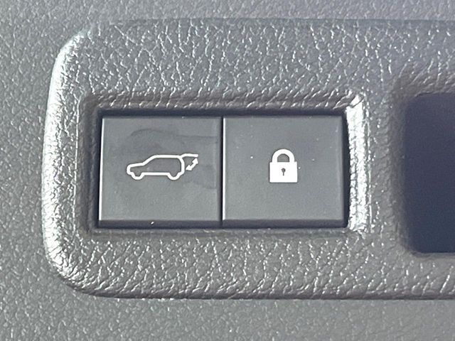 LEXUS NX300h