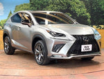 LEXUS NX300h