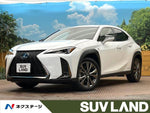 LEXUS UX250h